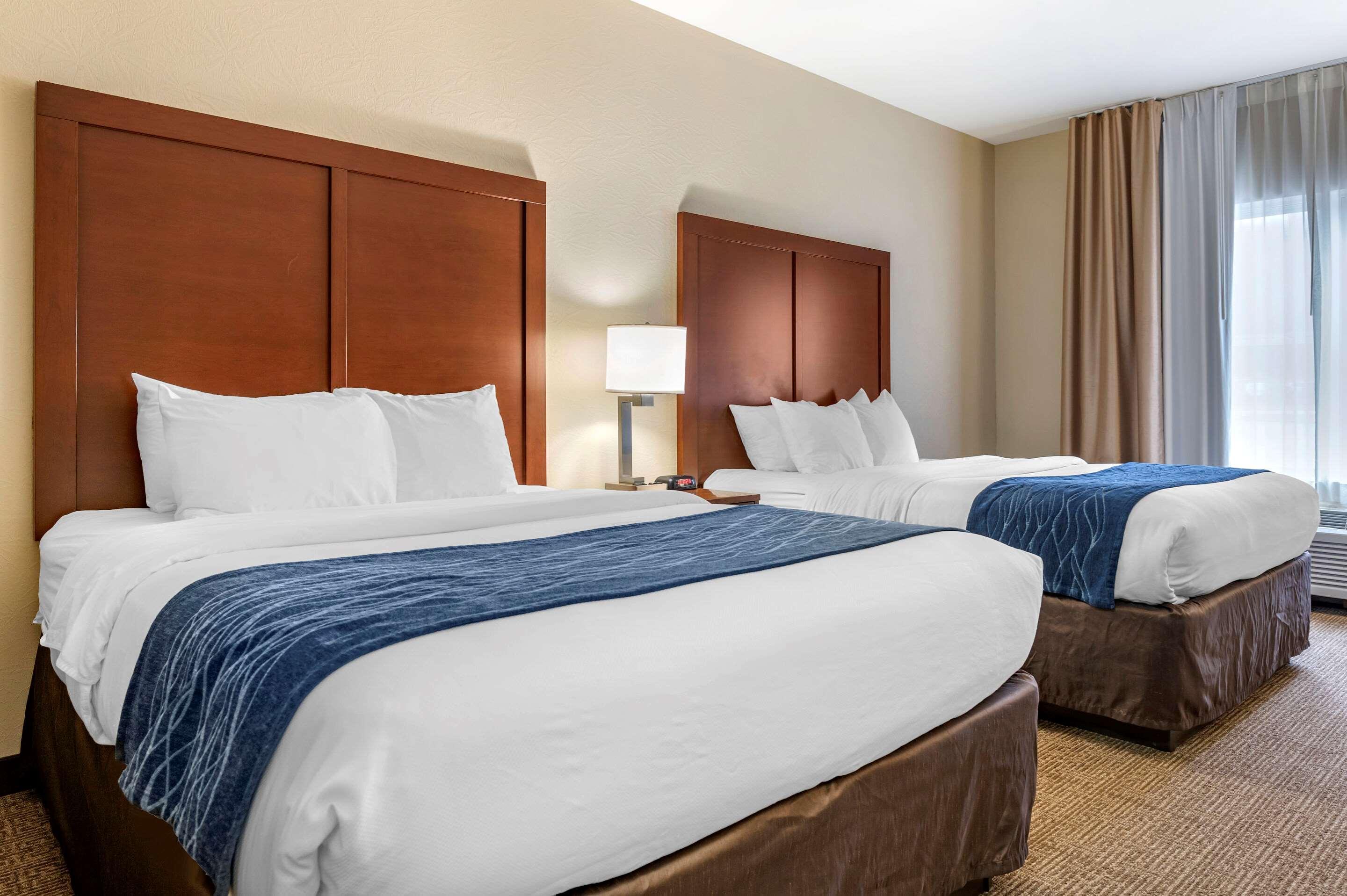 Comfort Inn & Suites Northern Kentucky Wilder Exteriér fotografie